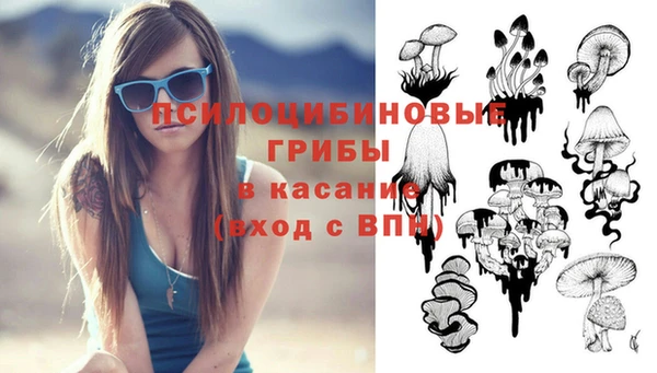 Альфа ПВП Богданович