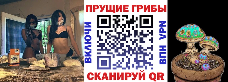 Галлюциногенные грибы GOLDEN TEACHER  Купить где  Карталы 