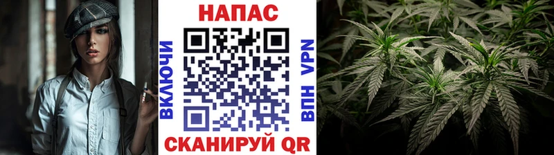 Конопля планчик  Купить где  Карталы 
